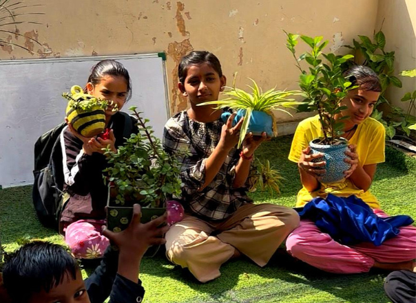 Adopt a Plant Campaign